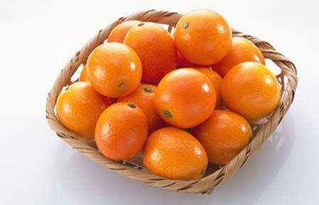 水果 小金橘